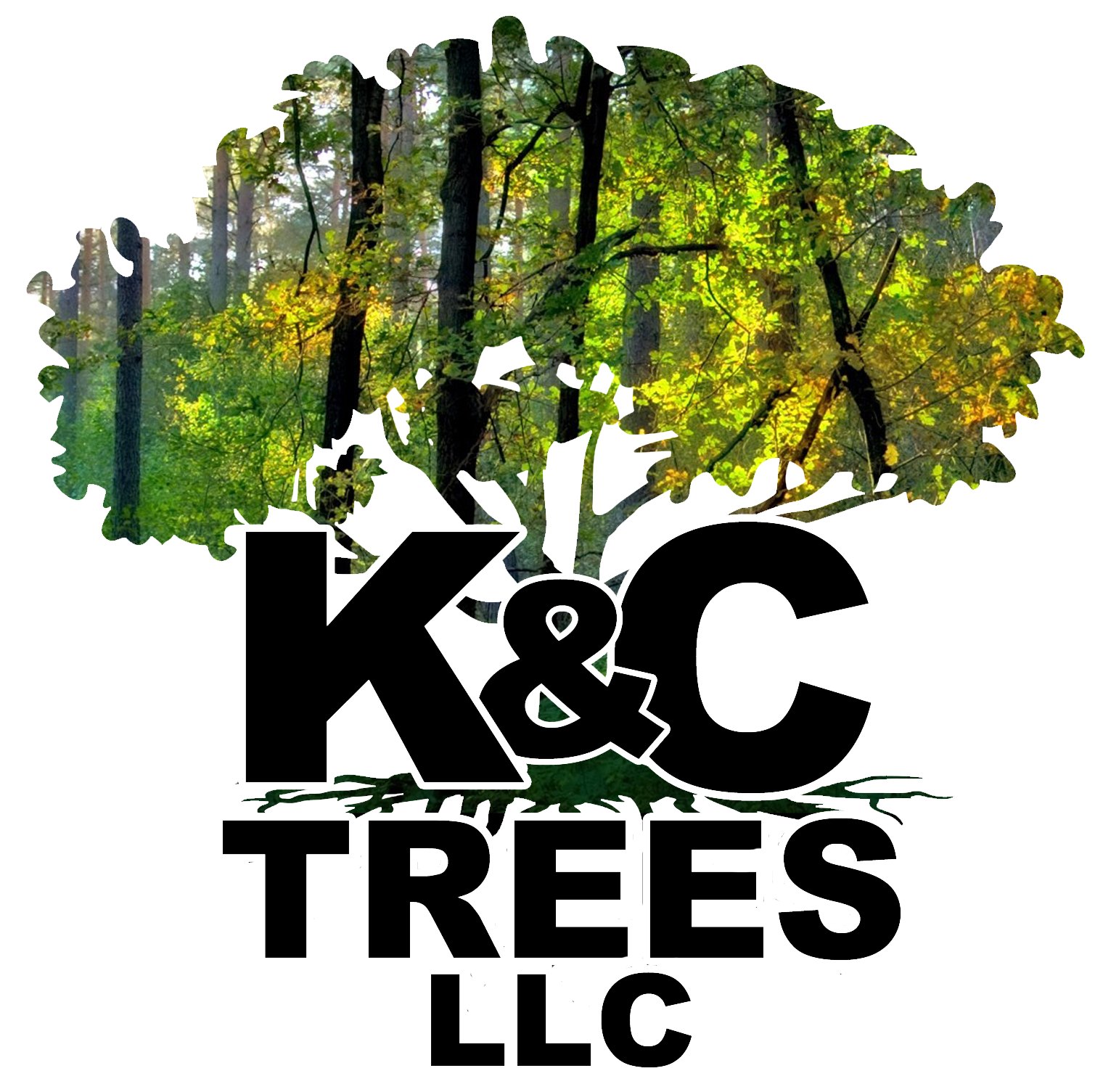 Weekend Entrepreneur K&C Trees LLC